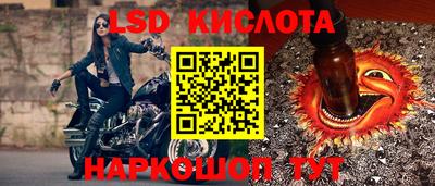 мяу мяу мука Краснознаменск