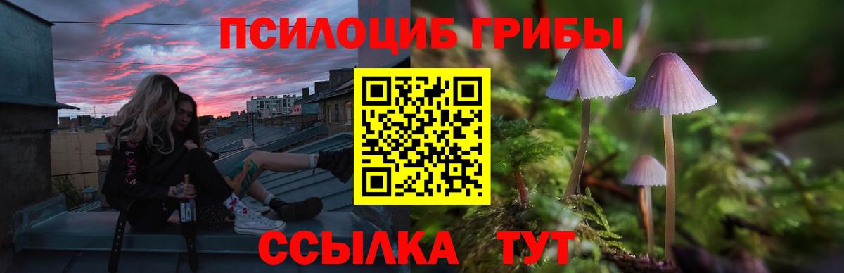 Галлюциногенные грибы мухоморы Донской